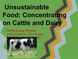 Unsustainable Food: Concentrating on Cattle and Dairy