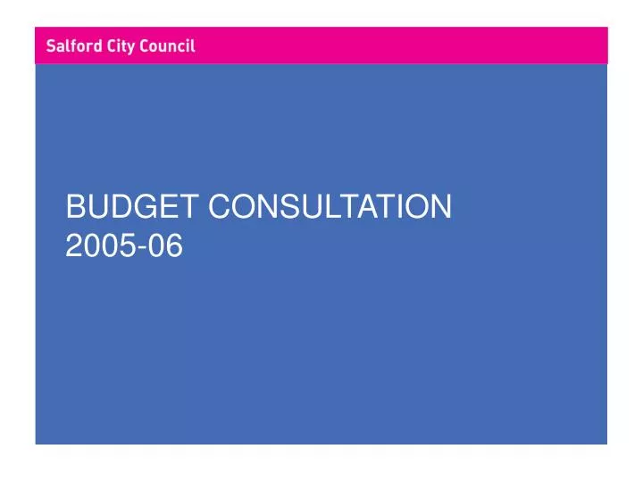 budget consultation 2005 06