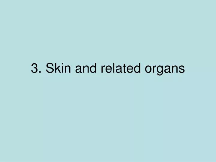 3 skin and related organs
