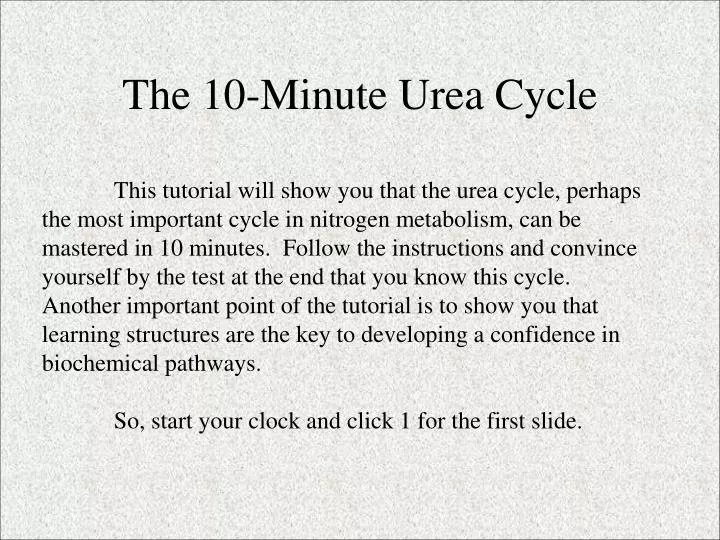 the 10 minute urea cycle