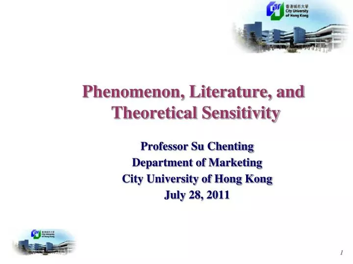 phenomenon literature and theoretical sensitivity