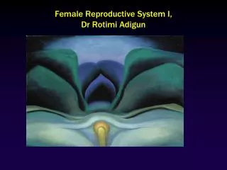 Female Reproductive System I, Dr Rotimi Adigun