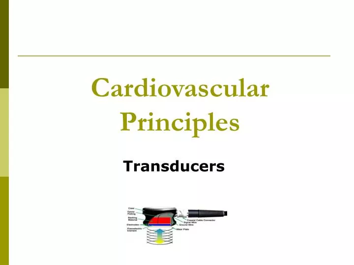 cardiovascular principles