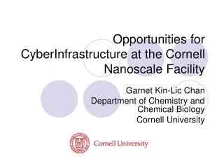 Opportunities for CyberInfrastructure at the Cornell Nanoscale Facility
