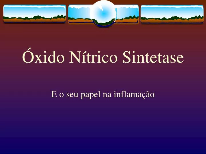 xido n trico sintetase