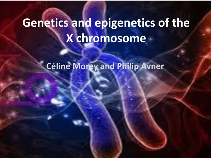 genetics and epigenetics of the x chromosome