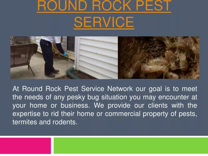 round rock pest service