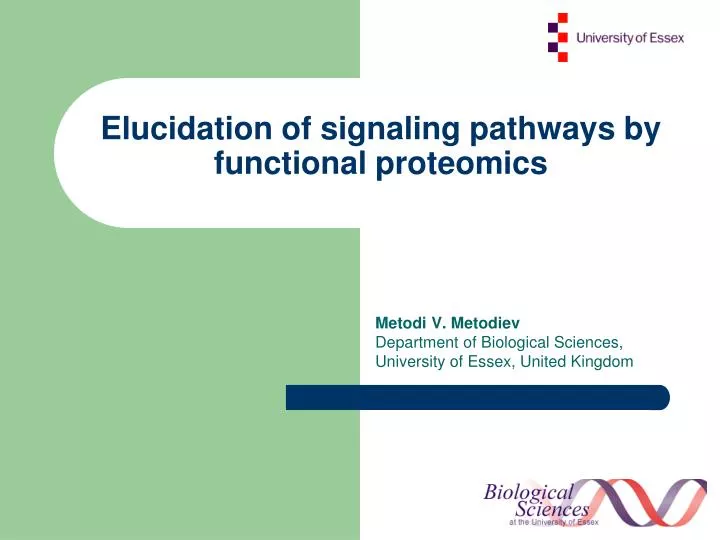 elucidation of signaling pathways by functional proteomics