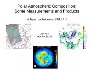 Polar Atmospheric Composition: Some Measurements and Products A Report on Action item STG3-A11