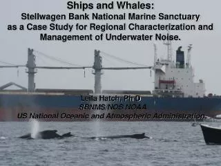 Ships and Whales: Stellwagen Bank National Marine Sanctuary