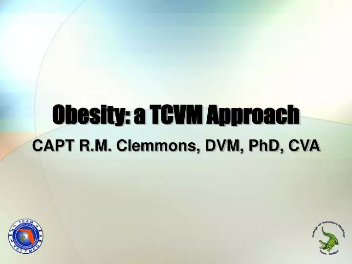 obesity a tcvm approach