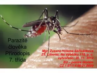 parazit lov ka p rodopis 7 t da
