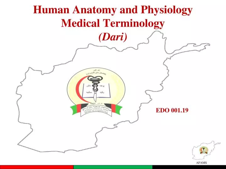human anatomy and physiology medical terminology dari