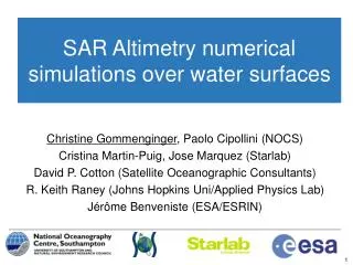 SAR Altimetry numerical simulations over water surfaces
