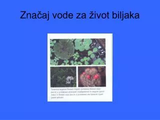 zna aj vode za ivot biljaka