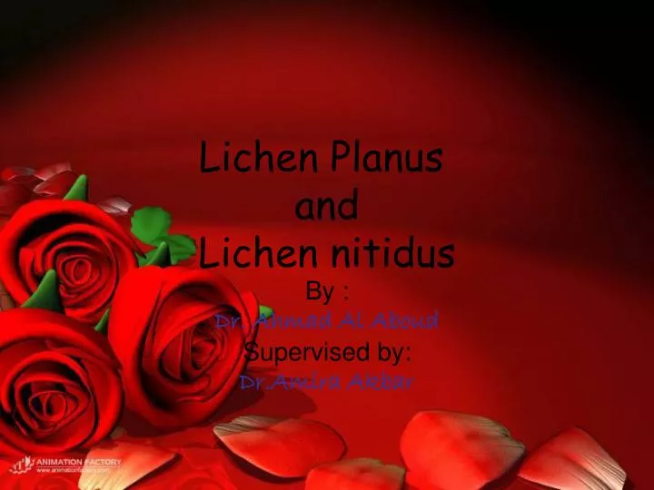 lichen planus and lichen nitidus