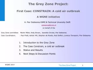 The Grey Zone Project: First Case: CONSTRAIN: A cold air outbreak A WGNE initiative