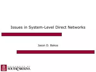 Issues in System-Level Direct Networks