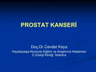 prostat kanser