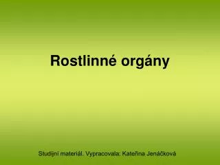rostlinn org ny