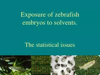 Exposure of zebrafish embryos to solvents. The statistical issues