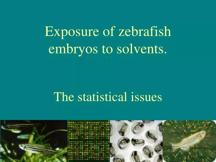 exposure of zebrafish embryos to solvents the statistical issues