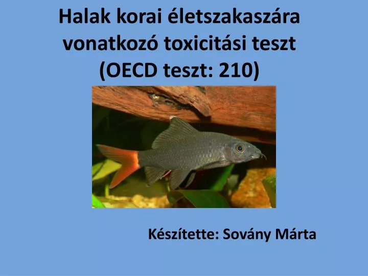 halak korai letszakasz ra vonatkoz toxicit si teszt oecd teszt 210
