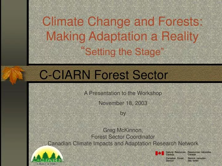 climate change and forests making adaptation a reality setting the stage