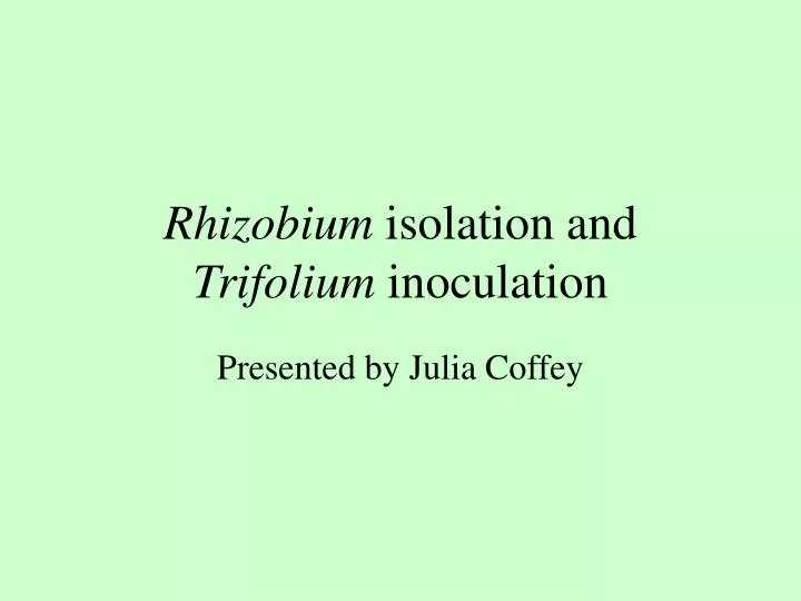 rhizobium isolation and trifolium inoculation
