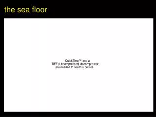 the sea floor
