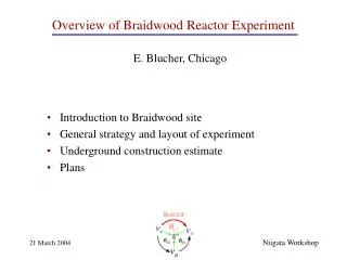 Overview of Braidwood Reactor Experiment