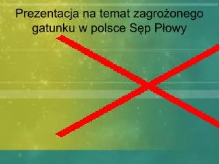 prezentacja na temat zagro onego gatunku w polsce s p p owy