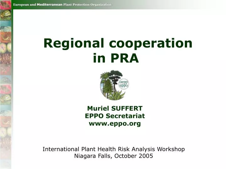 regional cooperation in pra