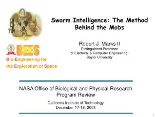 Swarm Intelligence: The Method Behind the Mobs