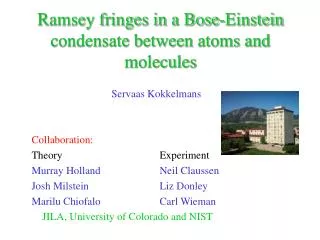 Ramsey fringes in a Bose-Einstein condensate between atoms and molecules
