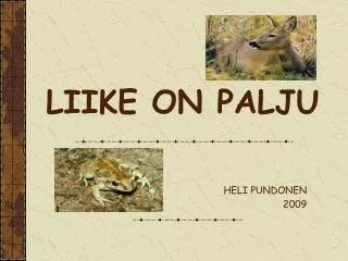 liike on palju