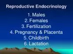 Reproductive Endocrinology - slide 1