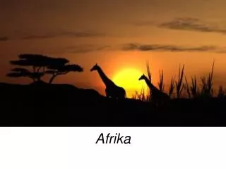 afrika