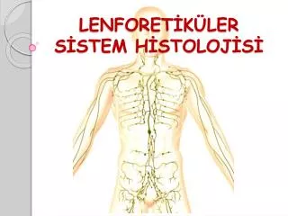 lenforet k ler s stem h stoloj s