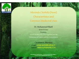 Morinda Citrifolia (Noni) Characteristics and