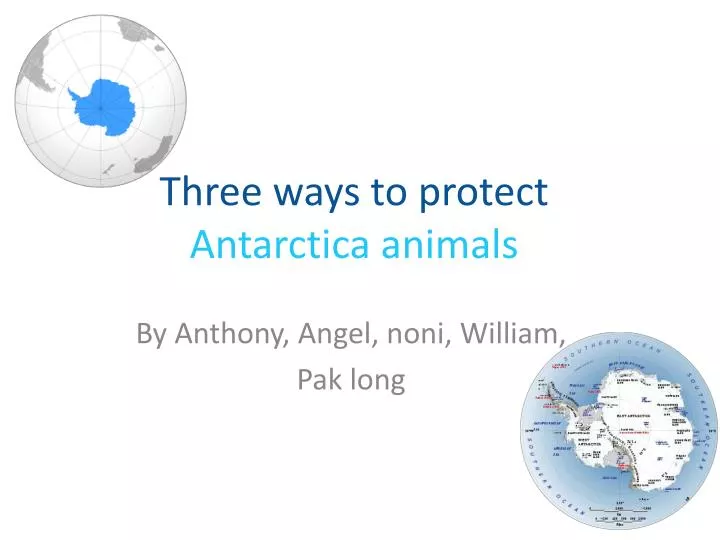 t hree ways to protect antarctica animals
