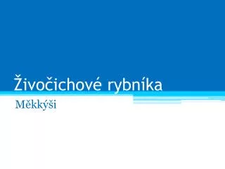 ivo ichov rybn ka