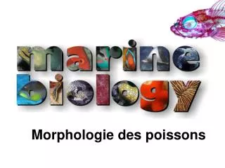 Morphologie des poissons