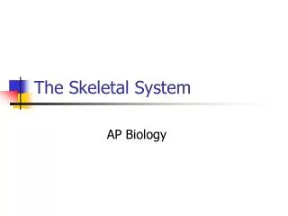 The Skeletal System