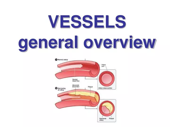 vessels general overview
