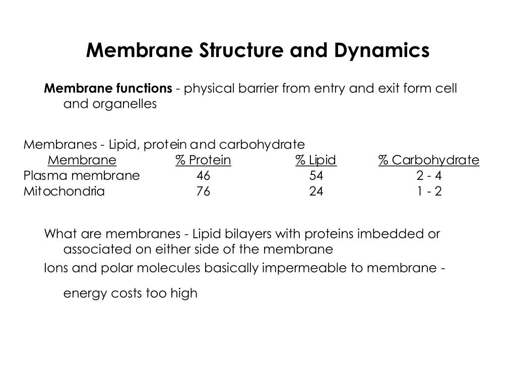 PPT - Membrane Structure and Dynamics PowerPoint Presentation, free ...