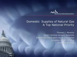 Domestic Supplies of Natural Gas A Top National Priority