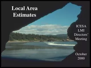 Local Area Estimates