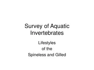 Survey of Aquatic Invertebrates