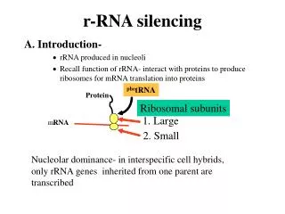 r-RNA silencing